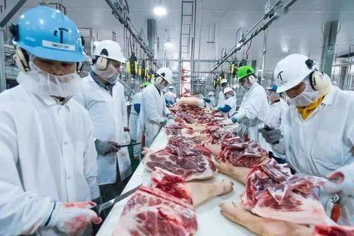 新冠肺炎全球肉类加工厂密集 沦陷 ,影响几何