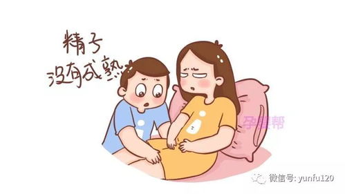 新婚夫妻的造娃方式让医生哭笑不得,难怪久备不孕