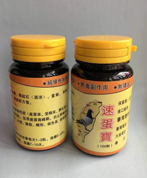 台湾速蛋宝 专业解决雌雄鸽不孕不育症的可靠选择