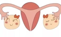 不孕症的病因、诊断与治疗